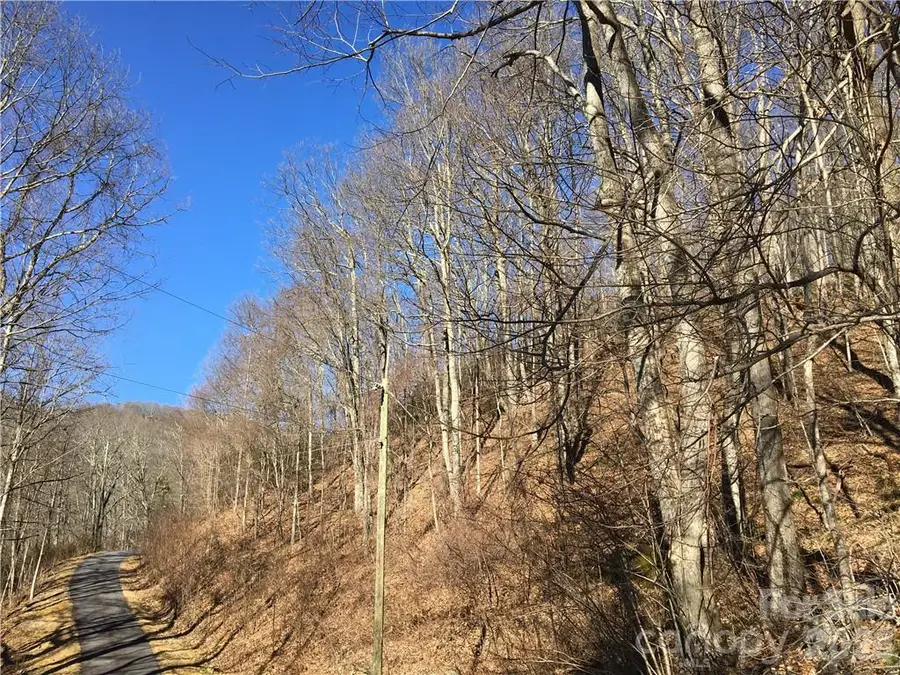 99999 Red Oak Forest Road, Fairview, NC 28730 - #2