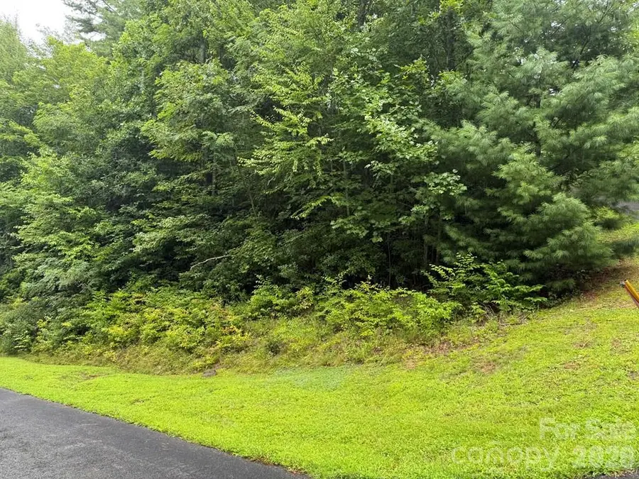 Lot 6 Garnet Road, Sylva, NC 28779 - #2
