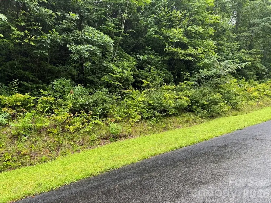 Lot 6 Garnet Road, Sylva, NC 28779 - #3