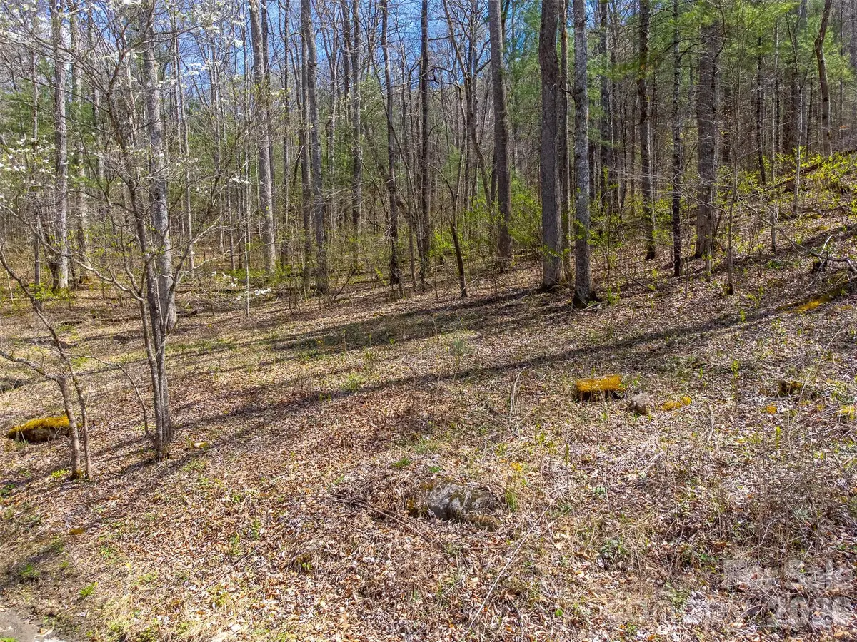 306 Cedar Creek Farm Road, Tuckasegee, NC 28783 - #1