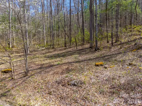 306 Cedar Creek Farm Road, Tuckasegee, NC 28783