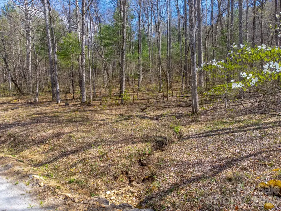 306 Cedar Creek Farm Road, Tuckasegee, NC 28783 - #2