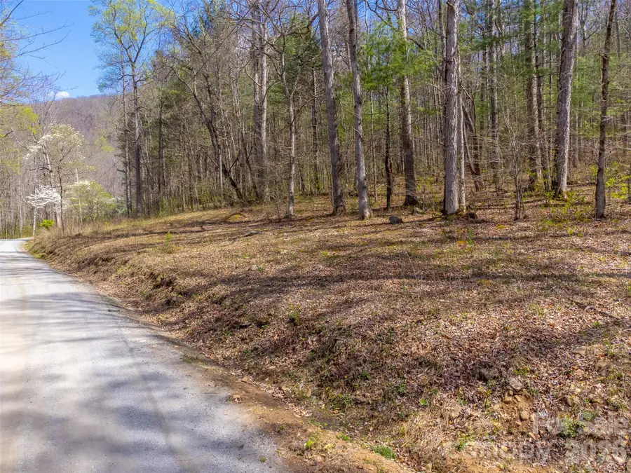 306 Cedar Creek Farm Road, Tuckasegee, NC 28783 - #3