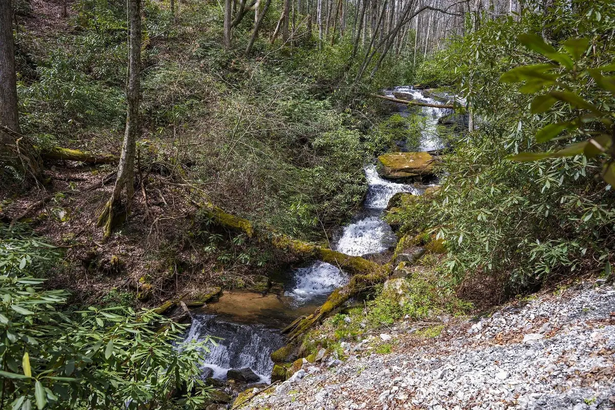 0 Diamond Creek Road, Rosman, NC 28772 - #1