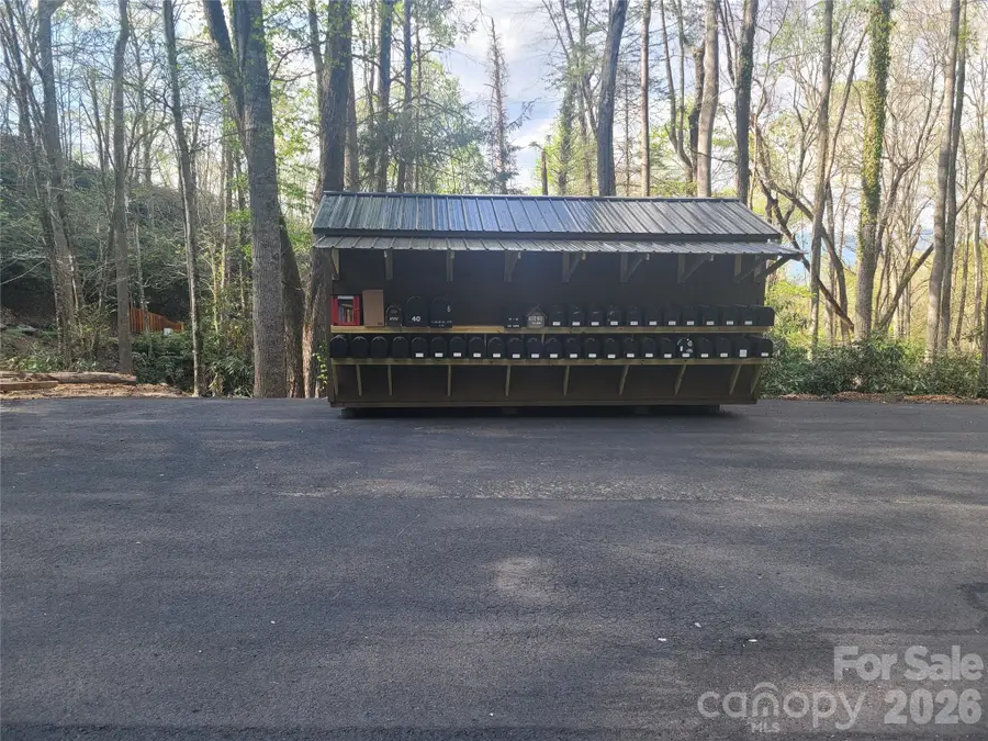 9999 Lytle Cove Road Road, Swannanoa, NC 28778 - #2
