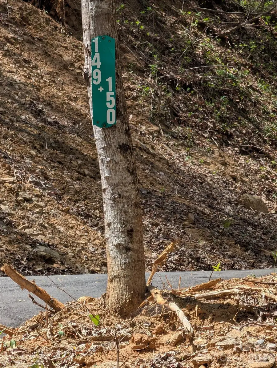 9999 Lytle Cove Road Road, Swannanoa, NC 28778 - #3