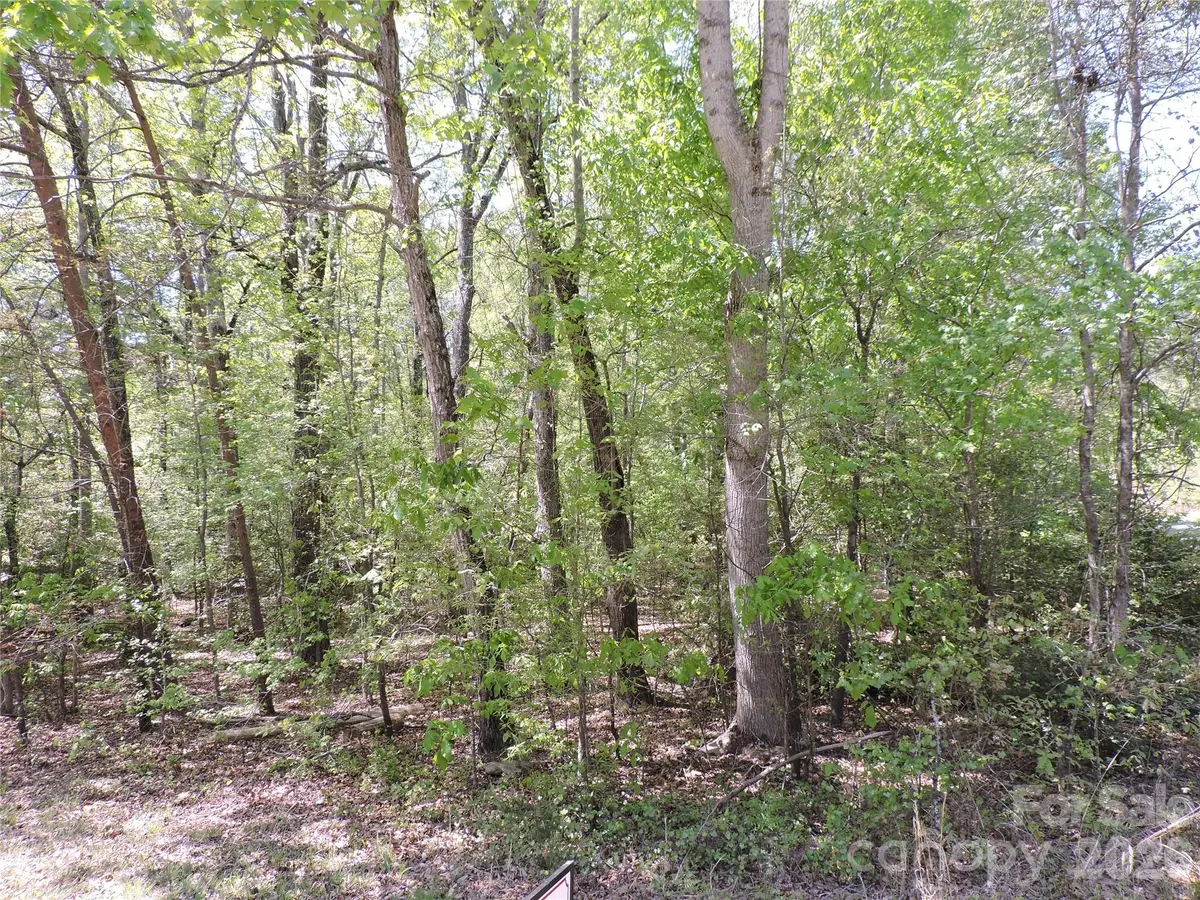 293 Manchester Road, Mount Gilead, NC 27306 - #1