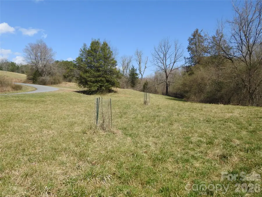 00 Laurel Lakes Parkway #Lot 1, Lake Lure, NC 28746 - #3