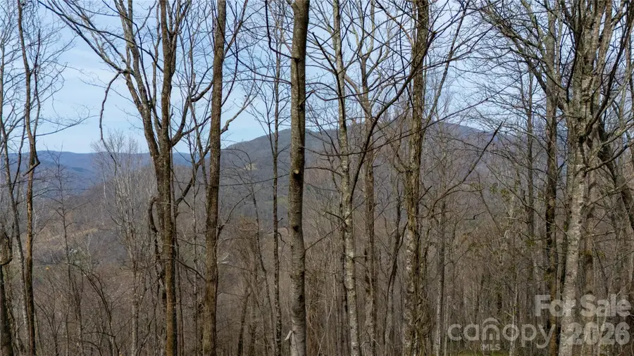 000 Tyler Lane, Bakersville, NC 28705 - #2