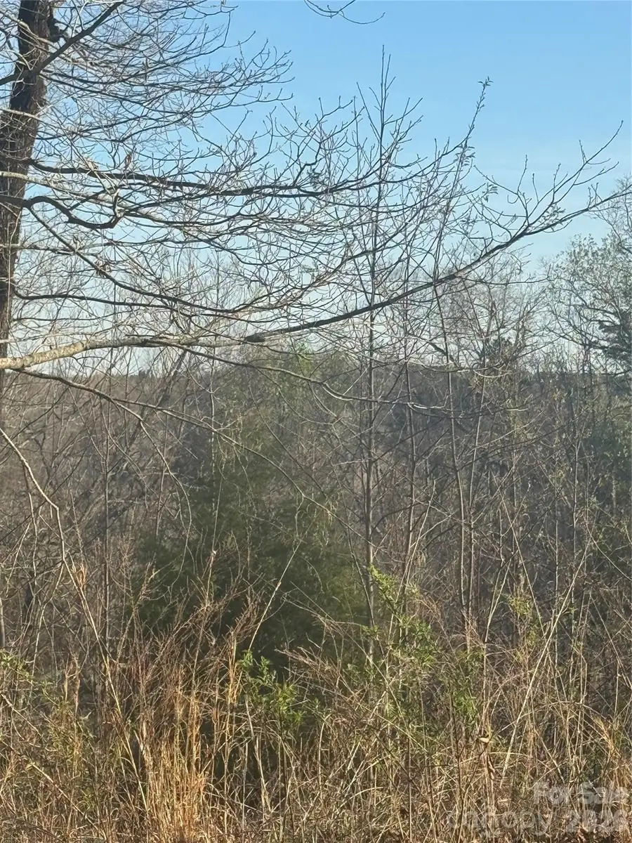 0 Willow Top Lane #317, Lake Lure, NC 28746 - #3