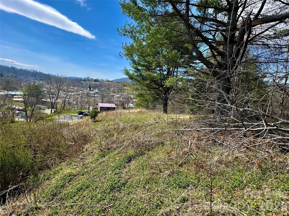 000 Mitchell Avenue, Bakersville, NC 28705 - #1