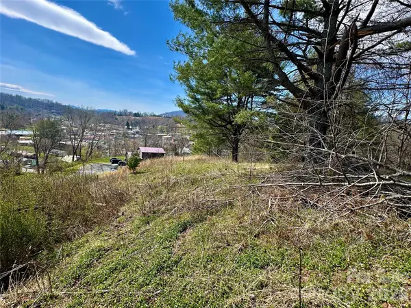 000 Mitchell Avenue, Bakersville, NC 28705