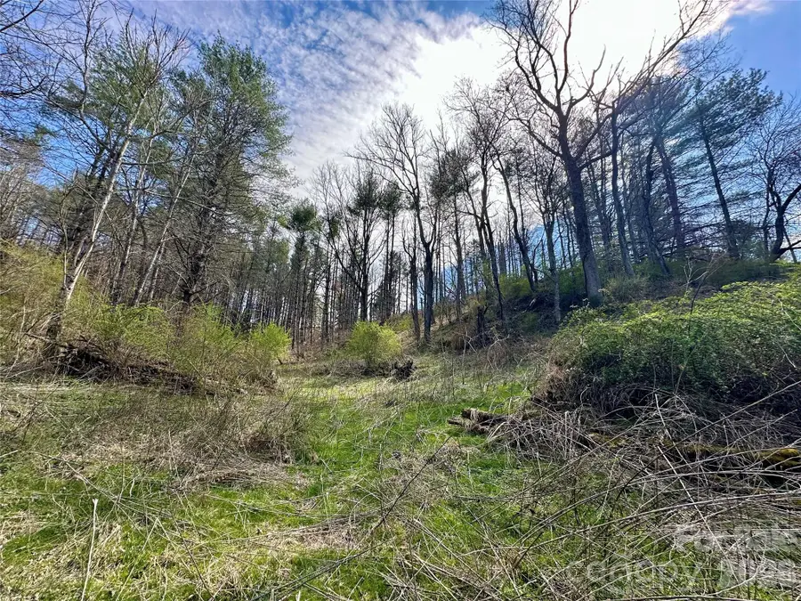 000 Mitchell Avenue, Bakersville, NC 28705 - #2