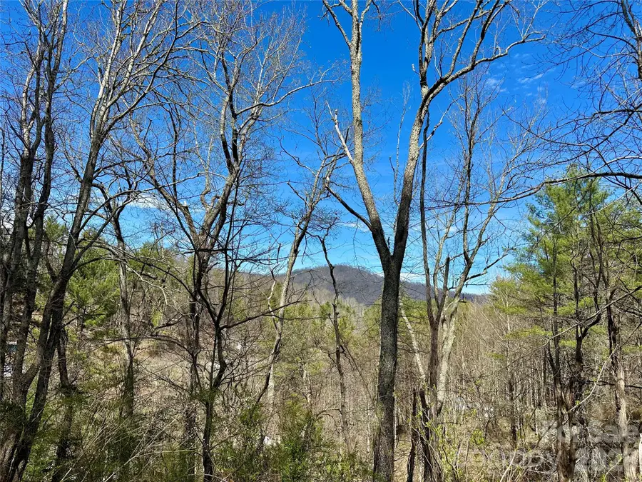 000 Mitchell Avenue, Bakersville, NC 28705 - #3