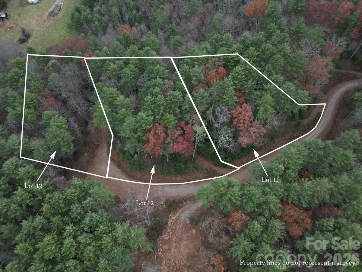 11 Wildlife Drive #11, Clyde, NC 28721 - #1