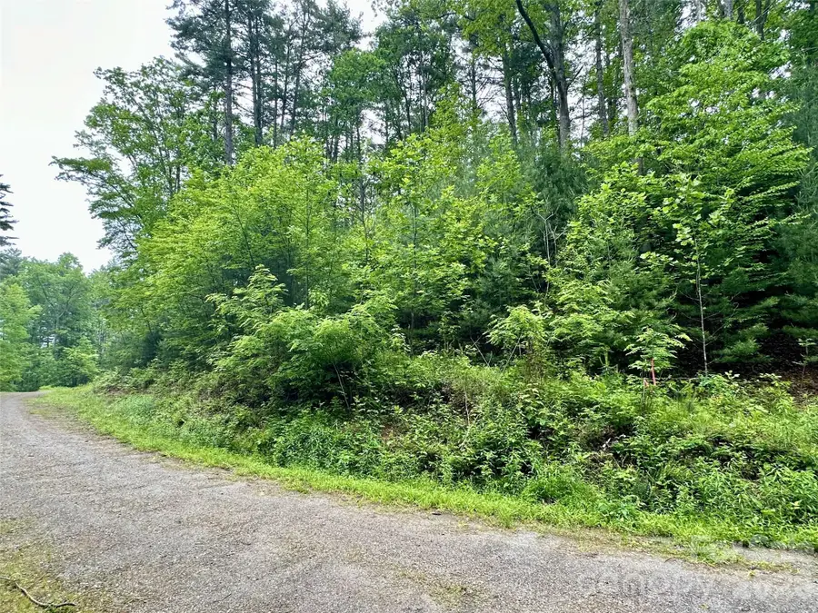 11 Wildlife Drive #11, Clyde, NC 28721 - #3