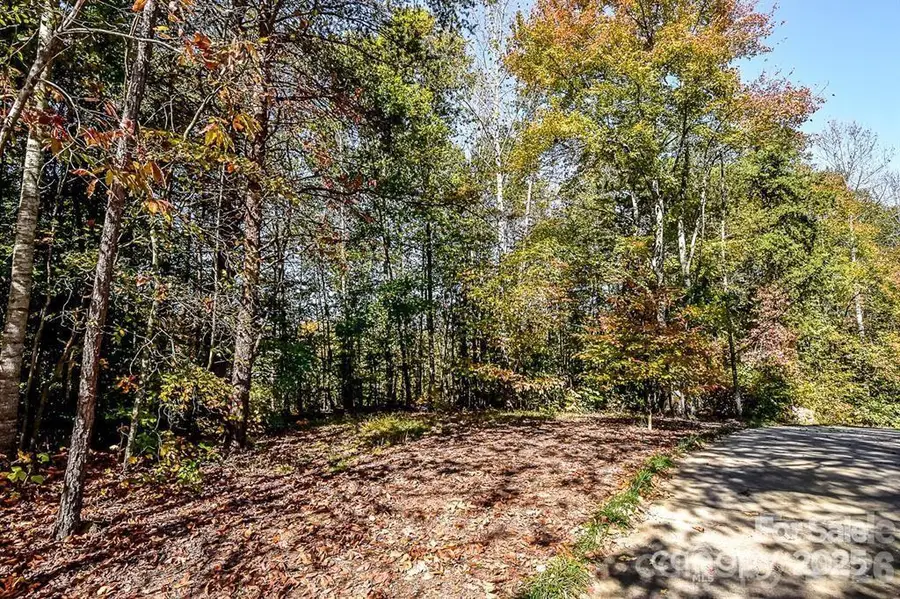 7733 Long Bay Parkway, Catawba, NC 28609 - #3