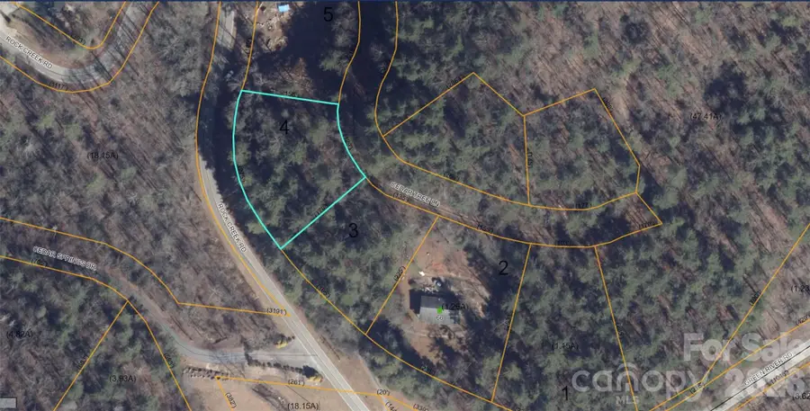 0000 Rock Creek Road, Zirconia, NC 28790 - #2