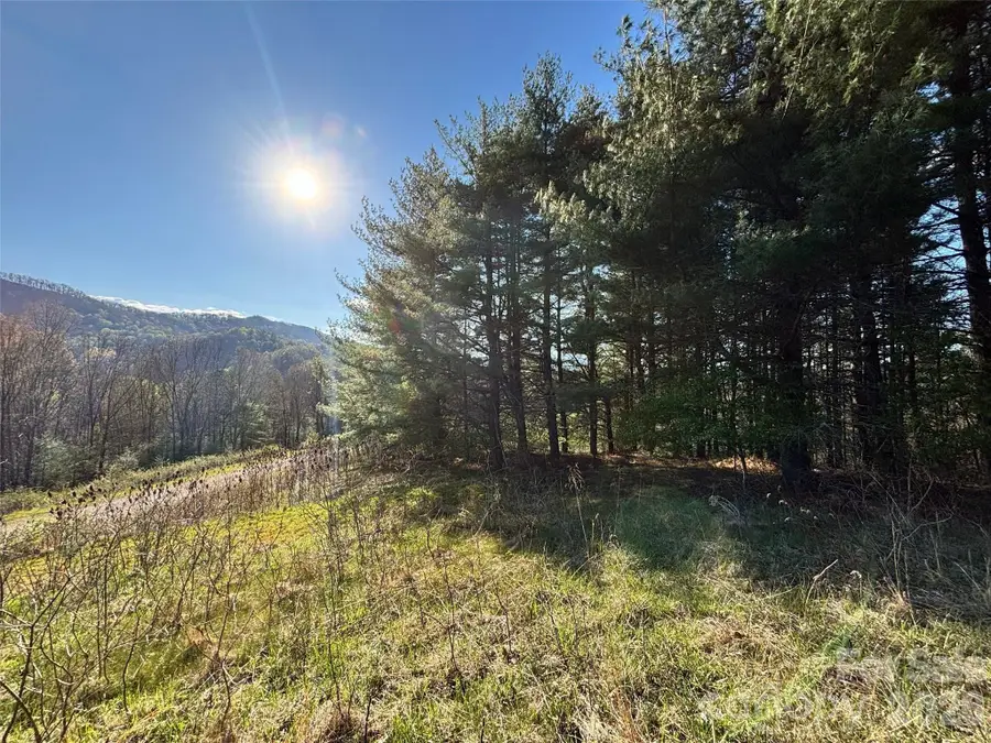 24 Dream Valley Drive #24, Clyde, NC 28721 - #3