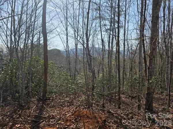 Lot 8 Kerlee Lane, Old Fort, NC 28762