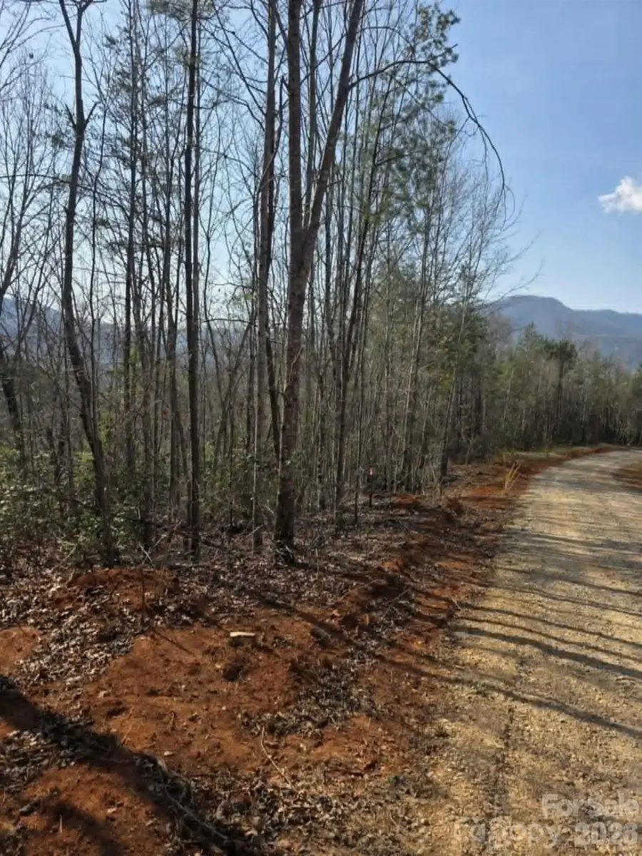 Lot 8 Kerlee Lane, Old Fort, NC 28762 - #2