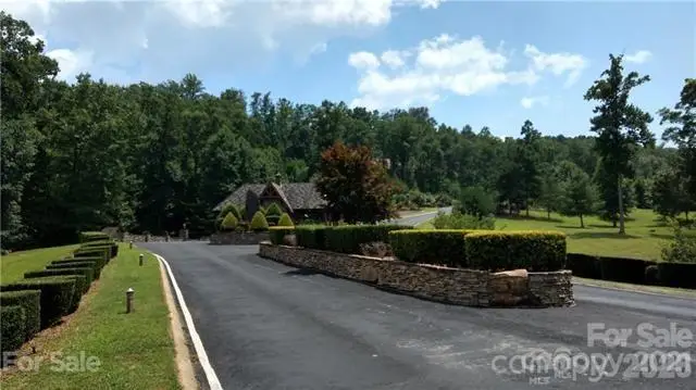 0 Bills Mountain Trail #401, Lake Lure, NC 28746 - #2