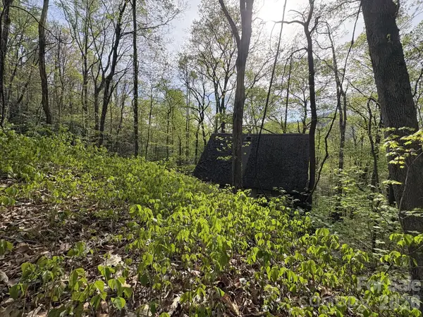 999999 Harwood Road, Barnardsville, NC 28709