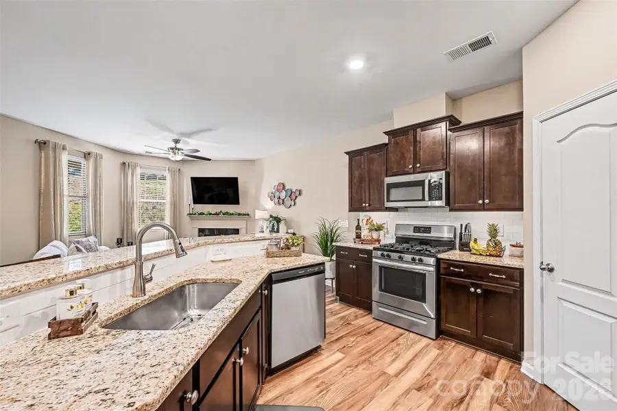 509 Common Raven Court, Fort Mill, SC 29715 - #3