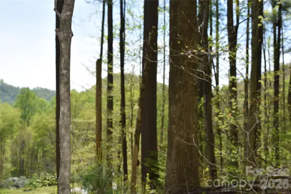 TBD Cabin Flats Road, Balsam, NC 28707