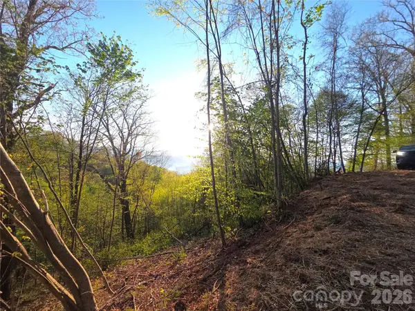 3355 Utah Mountain Road #3-F, Waynesville, NC 28785