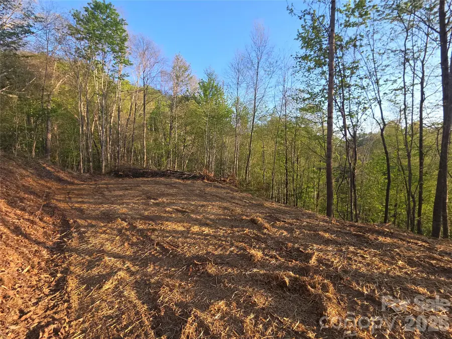 3355 Utah Mountain Road #3-F, Waynesville, NC 28785 - #2