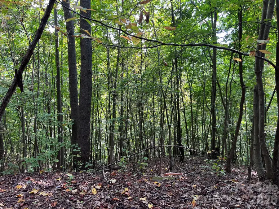 0 Old Forge Drive #94, Bostic, NC 28018 - #2