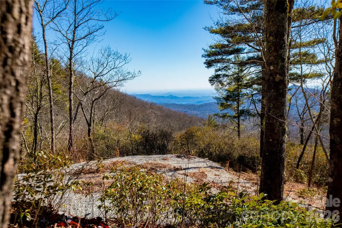 Lot 19 W Whitetail Drive, Sapphire, NC 28774 - #1