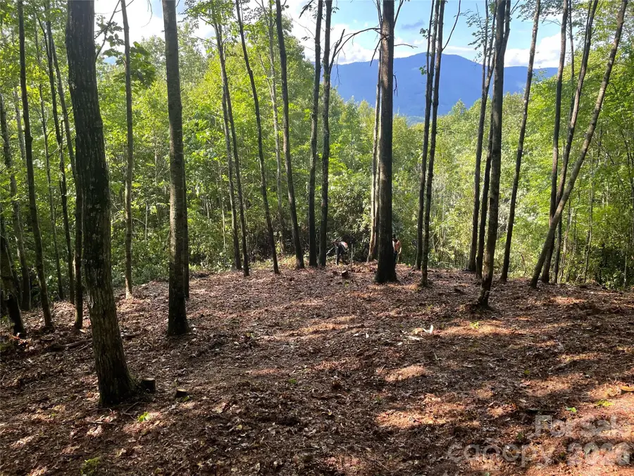 Lt 239 Down The Hill Road #239, Sylva, NC 28779 - #2