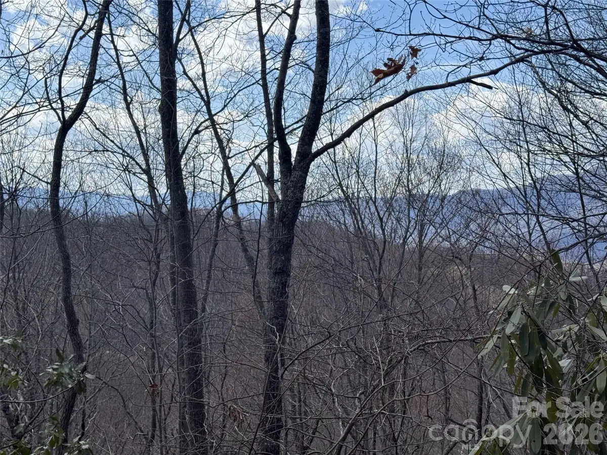 81 Boarding House Way #92, Sylva, NC 28779 - #1