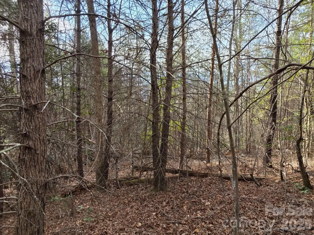 Lot 10 Kerlee Lane, Old Fort, NC 28762 - #1