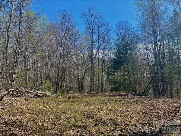 00 Scenic View Drive #1 & 2, Green Mountain, NC 28740