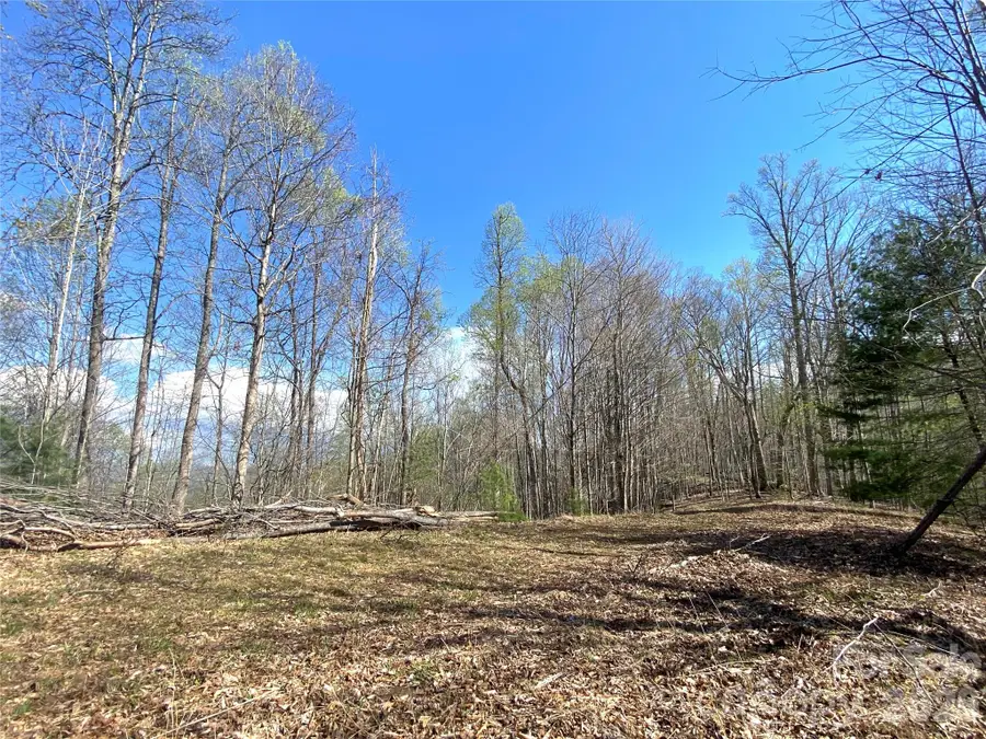 00 Scenic View Drive #1 & 2, Green Mountain, NC 28740 - #2
