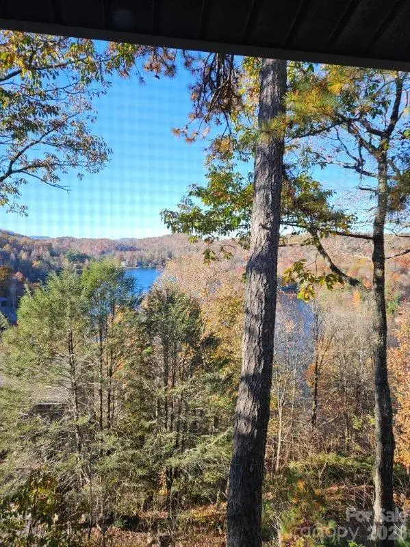 283 Tinequa Drive, Brevard, NC 28712 - #3