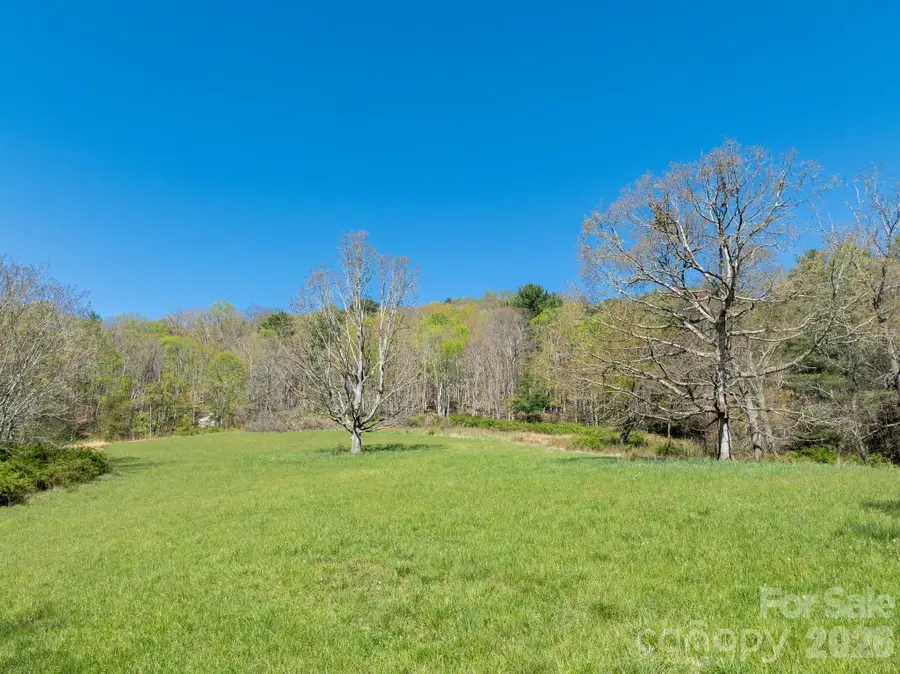 99999 Clarke Road, Asheville, NC 28805 - #2