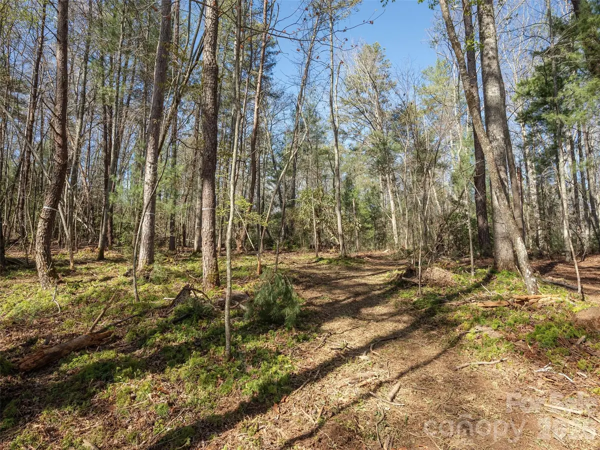 137 Nancy Ashworth Lane #13, Fairview, NC 28730 - #1