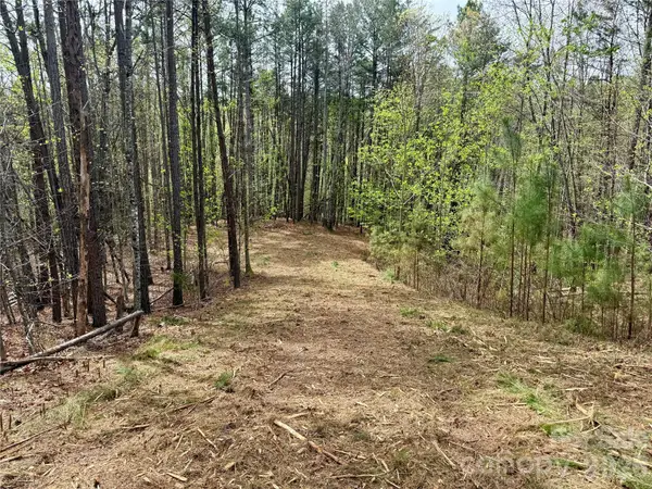 Lot 488 Bella Vista Way #488, Nebo, NC 28761