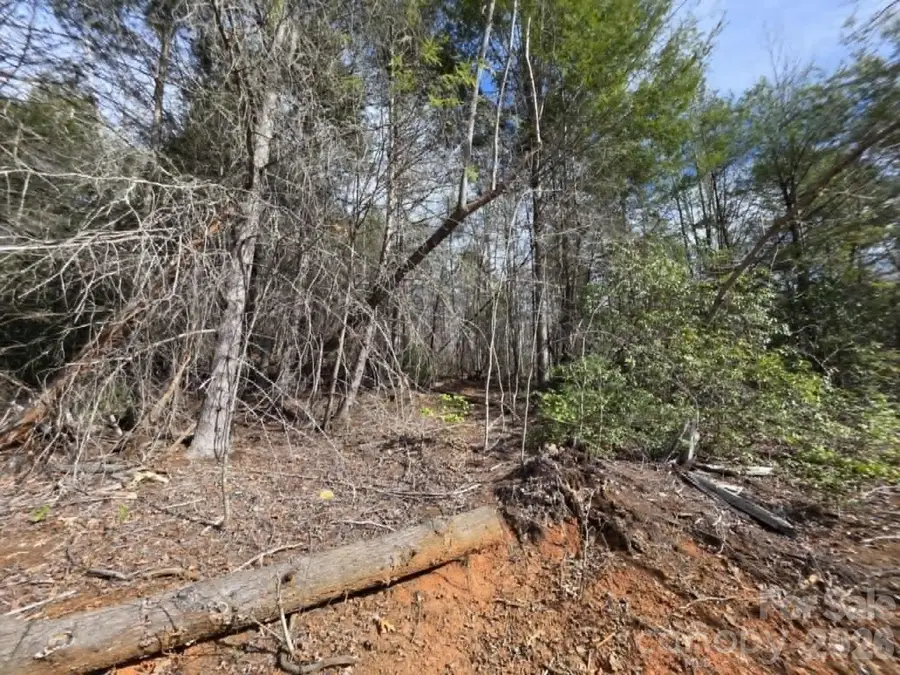 Lot 7 Kerlee Lane, Old Fort, NC 28762 - #2