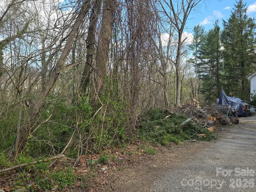 999999 Beaucatcher Road, Asheville, NC 28805 - #3