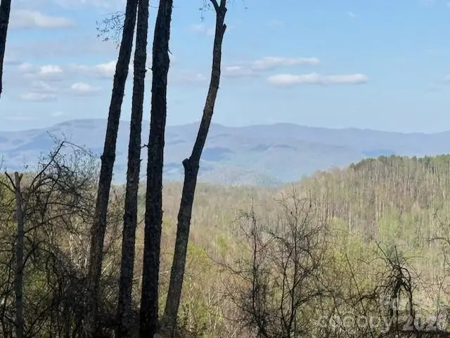 LT 70 Old Growth Way #70, Sylva, NC 28779 - #2