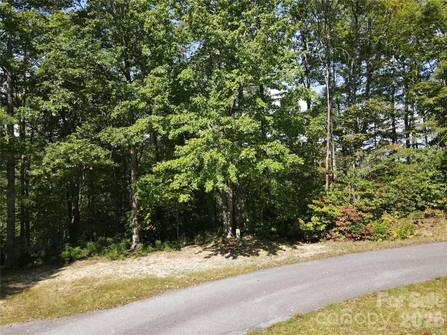 303 Ladd Ridge, Rosman, NC 28772 - #2