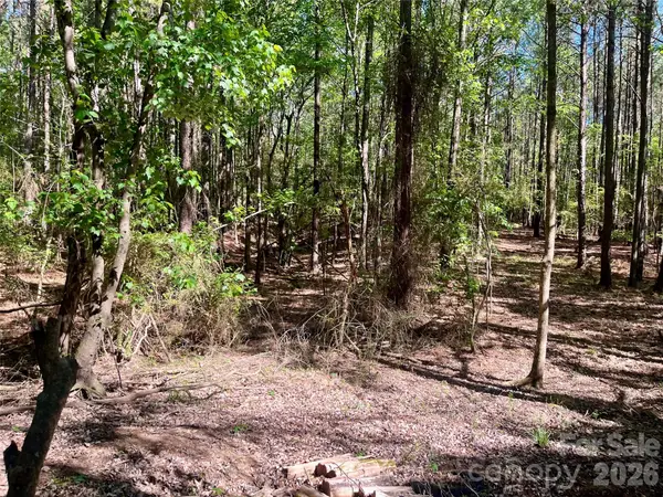 0 White Store Road, Polkton, NC 28135