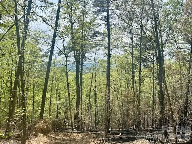 TBD Mountain View Circle, Lenoir, NC 28645 - #3