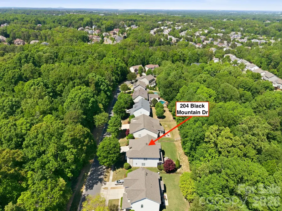 204 Black Mountain Drive, Fort Mill, SC 29708 - #3