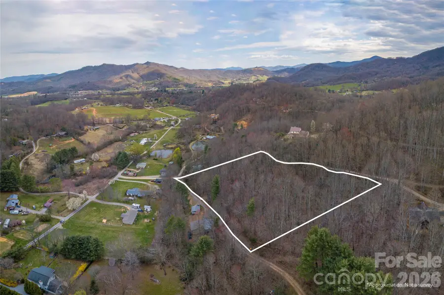 99999 Molasses Way, Waynesville, NC 28785 - #2